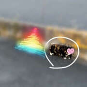 ヒメ日記 2026/02/15 13:22 投稿 くるみ 仙台人妻セレブリティー