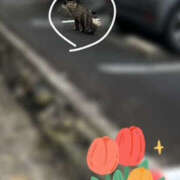 ヒメ日記 2026/02/18 17:53 投稿 くるみ 仙台人妻セレブリティー