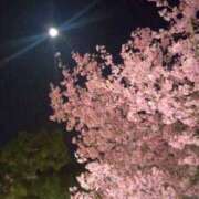 ヒメ日記 2025/03/15 11:51 投稿 まいこ 熟女の風俗最終章 宇都宮店