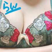 ヒメ日記 2024/12/14 07:50 投稿 坂上らん ウルトラグレイス24