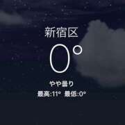 ヒメ日記 2024/12/15 06:50 投稿 坂上らん ウルトラグレイス24