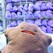 ヒメ日記 2025/11/03 22:04 投稿 坂上らん ウルトラグレイス24