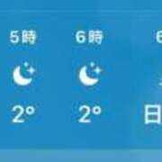 ヒメ日記 2025/12/04 16:20 投稿 坂上らん ウルトラグレイス24