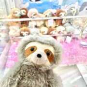 ヒメ日記 2026/03/12 08:22 投稿 坂上らん ウルトラグレイス24