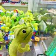 ヒメ日記 2026/03/17 12:50 投稿 坂上らん ウルトラグレイス24