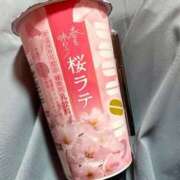 ヒメ日記 2026/03/19 16:20 投稿 坂上らん ウルトラグレイス24