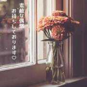 ヒメ日記 2025/03/07 12:05 投稿 椎名由貴 ローテンブルク