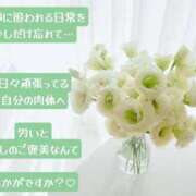 ヒメ日記 2025/03/12 09:02 投稿 椎名由貴 ローテンブルク