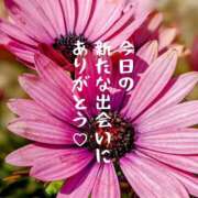 ヒメ日記 2025/03/27 22:29 投稿 椎名由貴 ローテンブルク