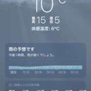 ヒメ日記 2025/03/29 09:03 投稿 椎名由貴 ローテンブルク