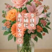 ヒメ日記 2025/06/08 21:57 投稿 椎名由貴 ローテンブルク