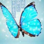 ヒメ日記 2025/06/19 21:02 投稿 椎名由貴 ローテンブルク