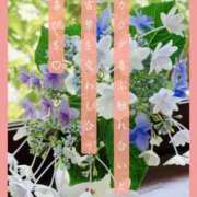 ヒメ日記 2025/06/25 09:00 投稿 椎名由貴 ローテンブルク