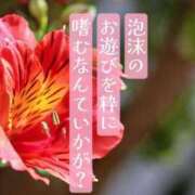 ヒメ日記 2025/07/12 08:00 投稿 椎名由貴 ローテンブルク