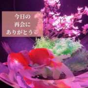 ヒメ日記 2025/11/21 17:01 投稿 椎名由貴 ローテンブルク