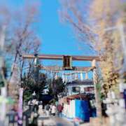 ヒメ日記 2025/12/30 11:02 投稿 椎名由貴 ローテンブルク