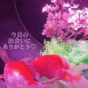 ヒメ日記 2026/02/10 21:02 投稿 椎名由貴 ローテンブルク