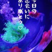 ヒメ日記 2026/02/21 21:02 投稿 椎名由貴 ローテンブルク