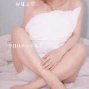 ヒメ日記 2026/04/25 08:30 投稿 椎名由貴 ローテンブルク