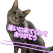 有馬 もえ 10/20(火)お礼日記♡ 30代40代50代と遊ぶなら博多人妻専科24時