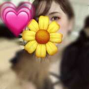 ヒメ日記 2024/12/13 08:31 投稿 マコト ラブコレクション