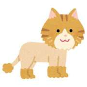 ヒメ日記 2024/12/26 14:46 投稿 マコト ラブコレクション