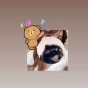 ヒメ日記 2025/02/20 09:46 投稿 マコト ラブコレクション