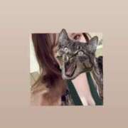 ヒメ日記 2025/04/04 10:16 投稿 マコト ラブコレクション