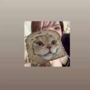 ヒメ日記 2025/04/08 14:16 投稿 マコト ラブコレクション