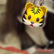 ヒメ日記 2025/04/25 08:01 投稿 マコト ラブコレクション