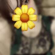 ヒメ日記 2025/06/04 14:46 投稿 マコト ラブコレクション