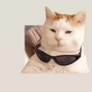 ヒメ日記 2025/06/21 10:16 投稿 マコト ラブコレクション