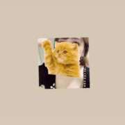 ヒメ日記 2025/08/19 14:31 投稿 マコト ラブコレクション