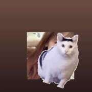 ヒメ日記 2025/08/28 10:16 投稿 マコト ラブコレクション