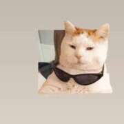 ヒメ日記 2025/09/25 11:46 投稿 マコト ラブコレクション