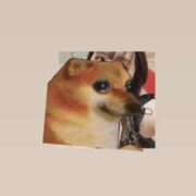 ヒメ日記 2025/10/10 10:16 投稿 マコト ラブコレクション