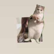 ヒメ日記 2025/10/13 12:16 投稿 マコト ラブコレクション