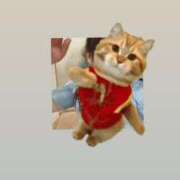 ヒメ日記 2025/10/20 10:16 投稿 マコト ラブコレクション