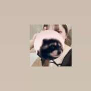 ヒメ日記 2025/11/03 14:16 投稿 マコト ラブコレクション