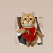 ヒメ日記 2025/11/20 13:16 投稿 マコト ラブコレクション