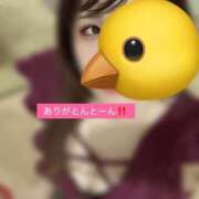 ヒメ日記 2026/02/12 11:31 投稿 マコト ラブコレクション