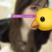 ヒメ日記 2026/02/18 11:16 投稿 マコト ラブコレクション