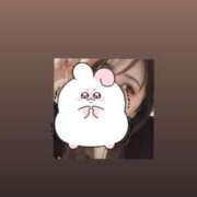 ヒメ日記 2026/02/23 10:16 投稿 マコト ラブコレクション