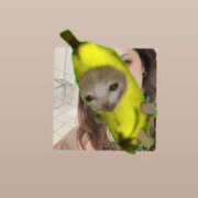 ヒメ日記 2026/02/27 10:16 投稿 マコト ラブコレクション