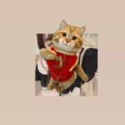 ヒメ日記 2026/03/11 10:16 投稿 マコト ラブコレクション