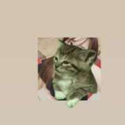 ヒメ日記 2026/03/25 10:16 投稿 マコト ラブコレクション