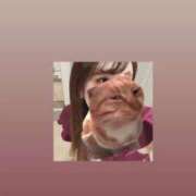 ヒメ日記 2026/04/04 10:16 投稿 マコト ラブコレクション