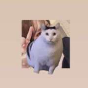 ヒメ日記 2026/05/20 10:16 投稿 マコト ラブコレクション