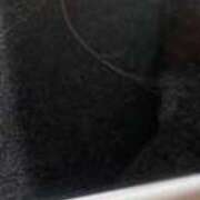 ヒメ日記 2024/12/15 07:48 投稿 みさと 五反田・品川おかあさん