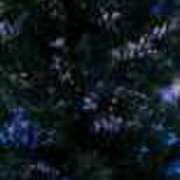 ヒメ日記 2024/12/18 00:33 投稿 みさと 五反田・品川おかあさん